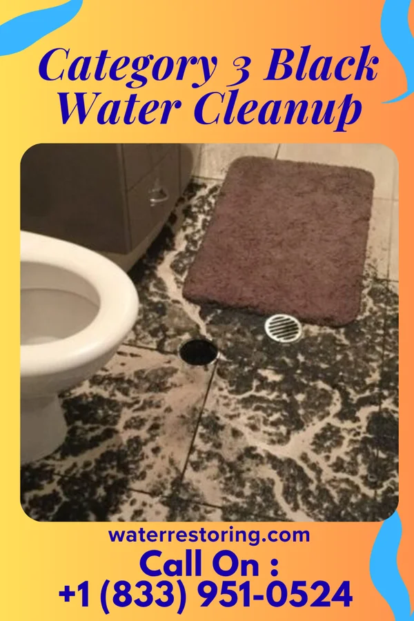 Category 3 Black Water Cleanup in Olivia Lopez de Gutierrez, TX