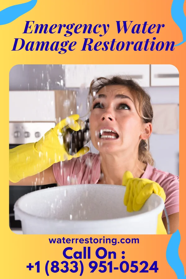 Emergency Water Damage Restoration in Olivia Lopez de Gutierrez, TX