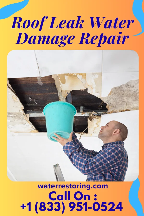 Roof Leak Water Damage Repair in Olivia Lopez de Gutierrez, TX